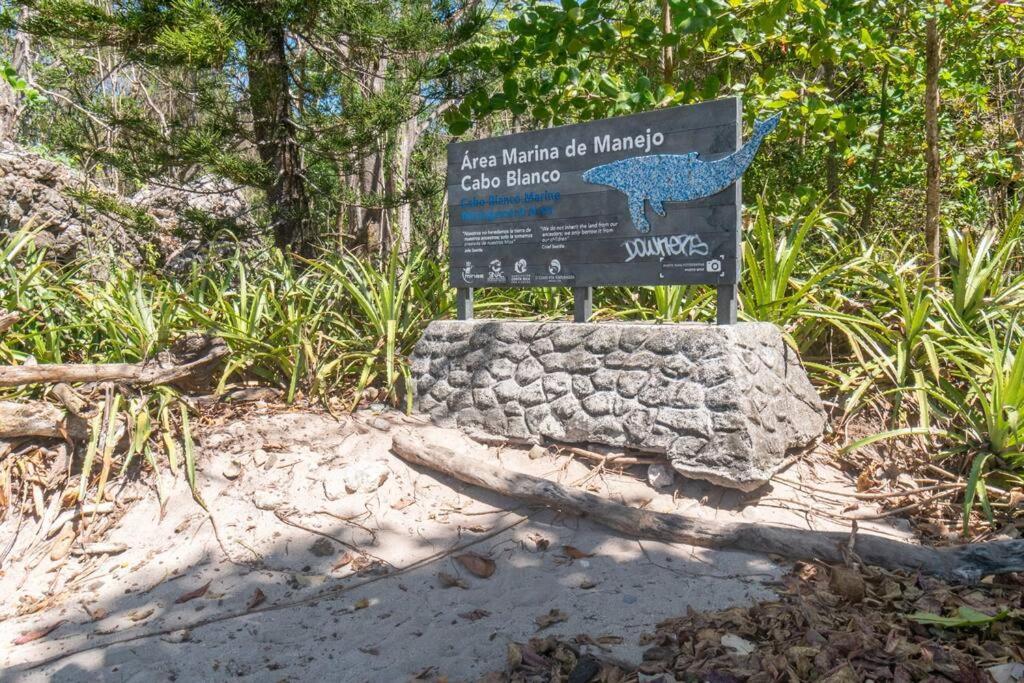 Surfside Apartments - Mal Pais Malpais Eksteriør bilde
